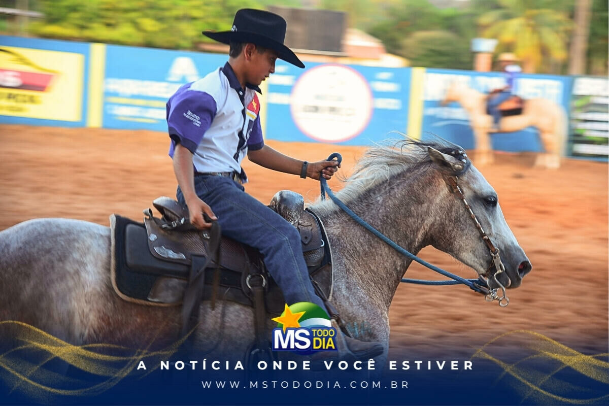 Imagem da Galeria